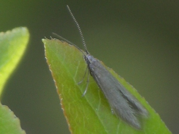Kuva 16.5.2009a