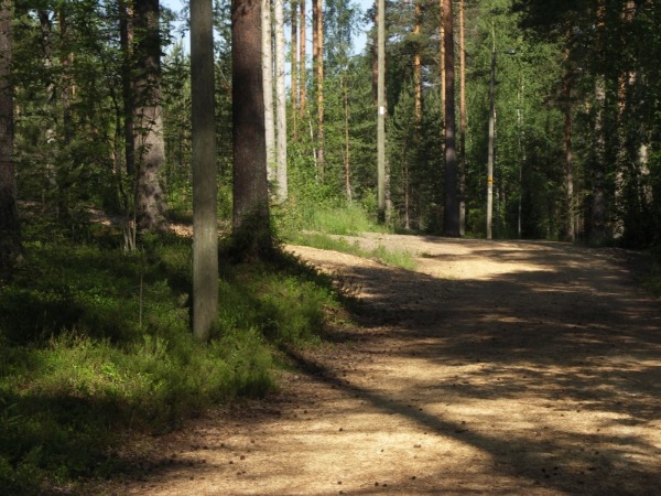 Kuva 23.6.2009a