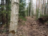 19.4.2016a