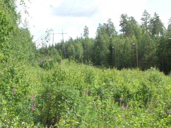 Ymp&auml;rist&ouml; 1