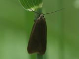 25.6.2008a