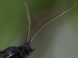 29.5.2022b