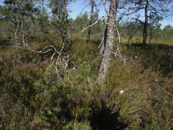 Ymp&auml;rist&ouml; 1
