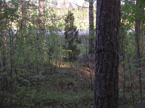 Kuva 10a