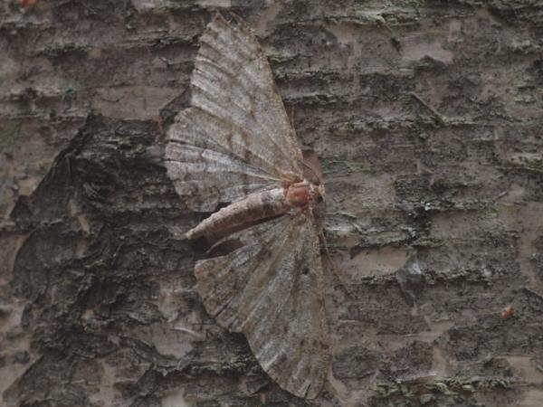 Kuva 20.6.2012