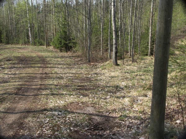 Ymp&auml;rist&ouml; 1