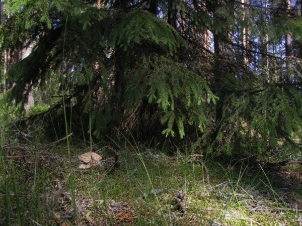 Ymp&auml;rist&ouml; 1