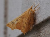 Kuva 29.8.2016B
