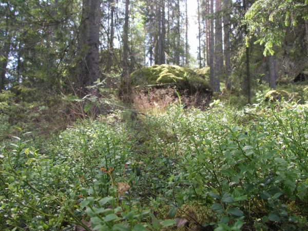 Ymp&auml;rist&ouml; 4