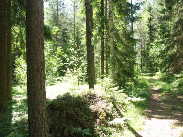 Ymp&auml;rist&ouml; 3