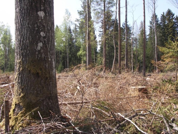 Ymp&auml;rist&ouml; 1