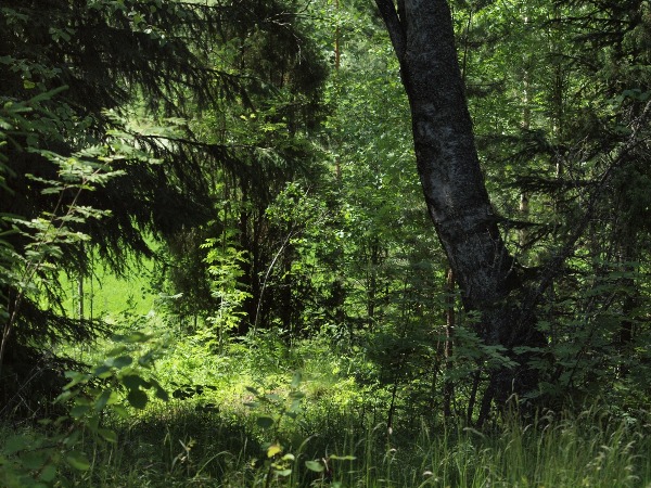 Ymp&auml;rist&ouml; 1