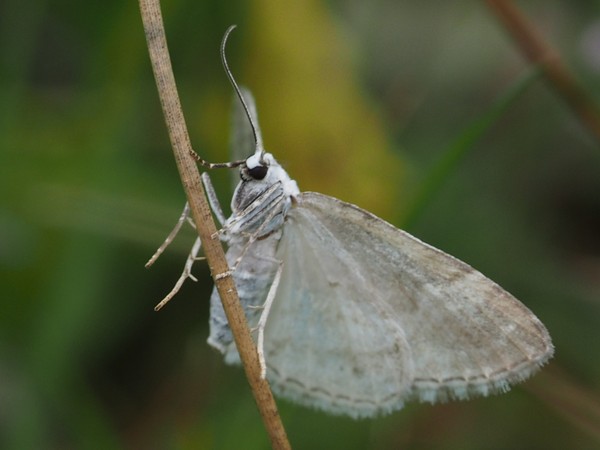 Kuva 17.7.2016