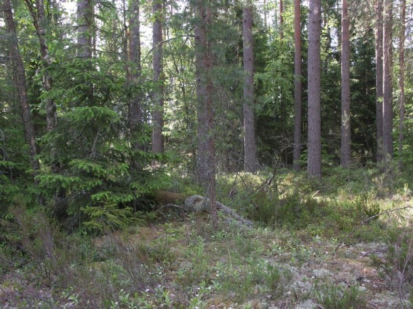 Ymp&auml;rist&ouml; 1