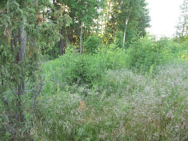 ymp&auml;rist&ouml; 1