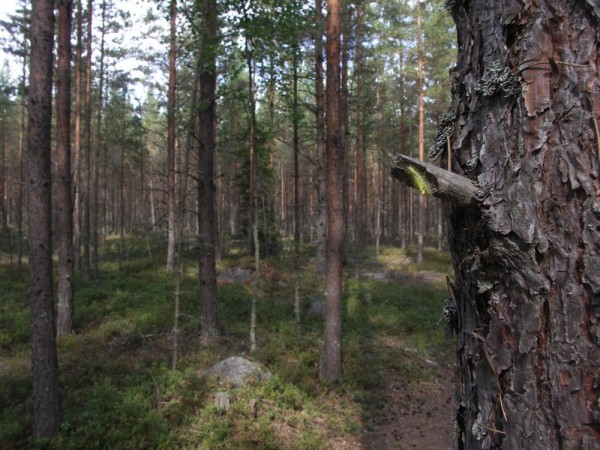 Ymp&auml;rist&ouml; 1