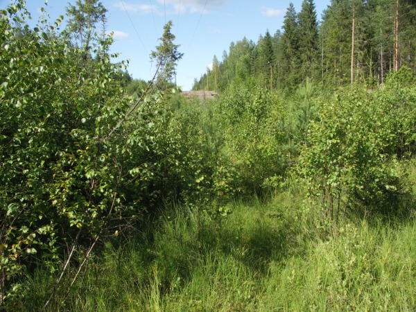 Ymp&auml;rist&ouml; 2