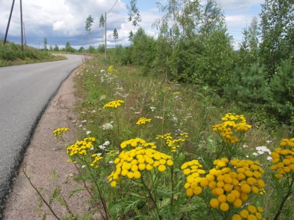 Ymp&auml;rist&ouml; 1
