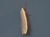 Kuva 9a