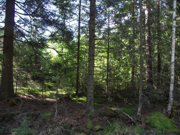 ymp&auml;rist&ouml; 1