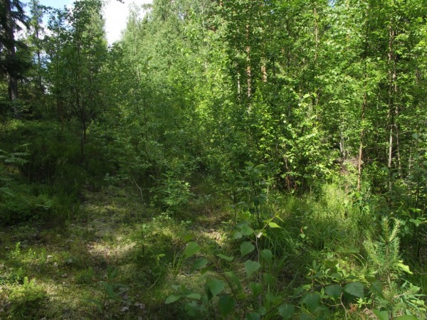 Ymp&auml;rist&ouml; 2