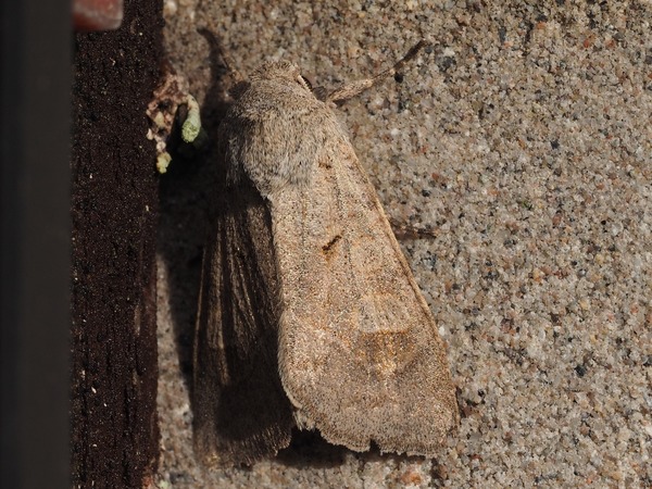 Kuva 11.9.2017