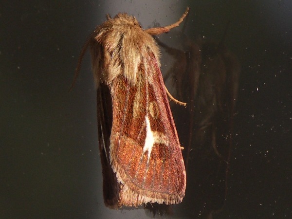 Kuva 7a