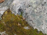 30.4.2018a