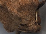 Kuva 28.8.2026b