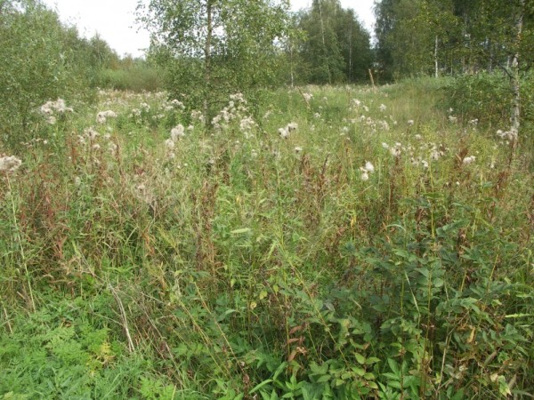 Ymp&auml;rist&ouml; 1