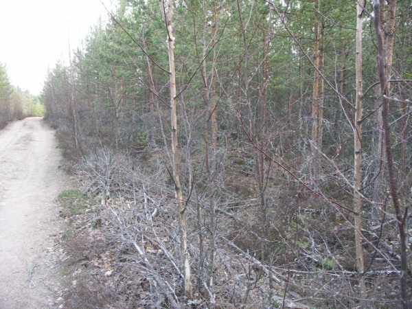 Ymp&auml;rist&ouml; 1