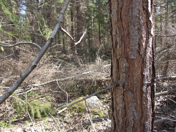 Ymp&auml;rist&ouml; 2