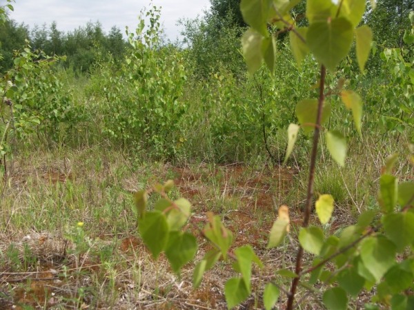 Ymp&auml;rist&ouml; 1