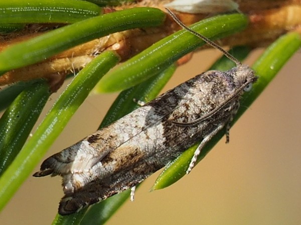 Kuva 16.5.2016a