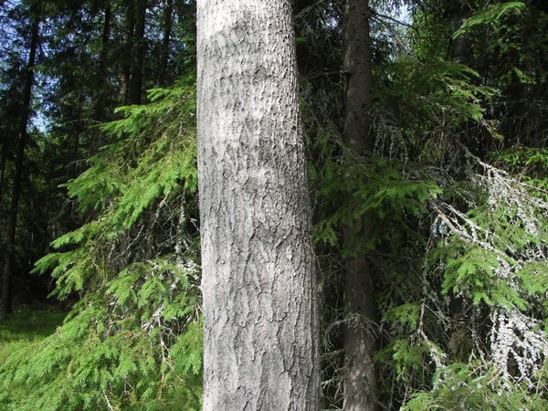 Ymp&auml;rist&ouml; 1